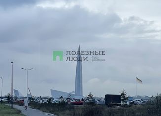 Продажа квартиры студии, 25 м2, Санкт-Петербург, муниципальный округ Гавань, улица Вадима Шефнера, 4