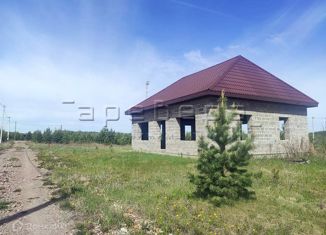 Продам дом, 173 м2, деревня Мужичкино, Центральная улица