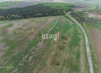 Участок на продажу, 8 сот., село Салаирка