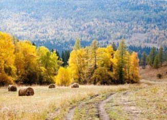 Продаю земельный участок, 10307.5 сот., село Шебалино, Советская улица