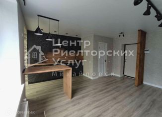 Продаю квартиру студию, 27 м2, Михайловск, улица Ишкова, 93