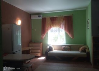 Продажа квартиры студии, 33 м2, село Песчаное, Набережная улица, 10А