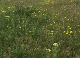 Земельный участок на продажу, 10 сот., село Туннельное