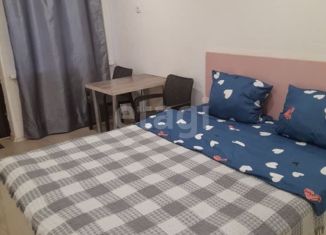 Квартира в аренду студия, 25 м2, Омск, 28-я Рабочая улица, 34