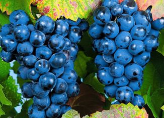 Дом на продажу, 10 м2, Ессентуки, 10-й проезд, 138