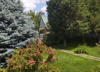 Продажа дома, 50 м2, хутор Прыщевка