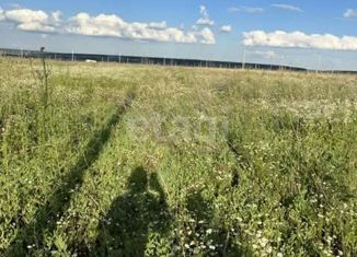 Участок на продажу, 40 сот., село Берёзово, Студенческая улица