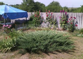 Продажа дома, 30 м2, село Муром