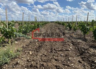 Продаю земельный участок, 1200 сот., село Фрунзе, улица Чкалова