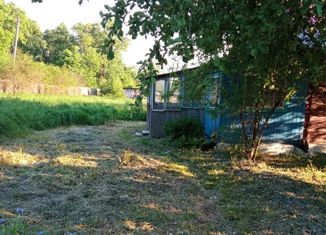 Продается дом, 42 м2, село Авчурино, Центральная улица