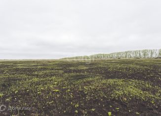 Участок на продажу, 10 сот., село Таптыково