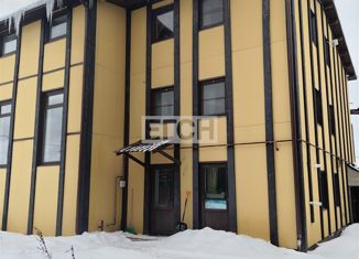 Продаю дом, 388 м2, деревня Мишуково, деревня Мишуково, 29