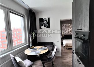 Продается 1-комнатная квартира, 25 м2, Санкт-Петербург, Пискарёвский проспект, 145к3, Пискарёвский проспект