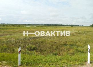 Продам земельный участок, 2050 сот., Алтайский край, улица Ленина