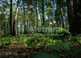 Продам земельный участок, 17 сот., территория ДЗ Шервуд, территория ДЗ Шервуд, 36