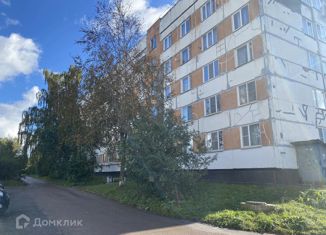 Продается двухкомнатная квартира, 46 м2, деревня Яльгелево, деревня Яльгелево, 45