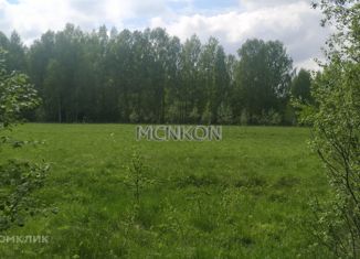 Продажа участка, 440 сот., деревня Синцово