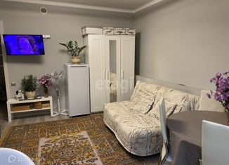 Квартира на продажу студия, 24.4 м2, Курган, Заозёрный район, 7-й микрорайон, 24