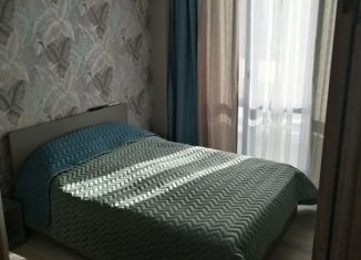 Сдам 2-ком. квартиру, 50 м2, Екатеринбург, улица Шейнкмана, 86А, улица Шейнкмана