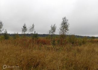 Продаю земельный участок, 484 сот., деревня Бегуницы