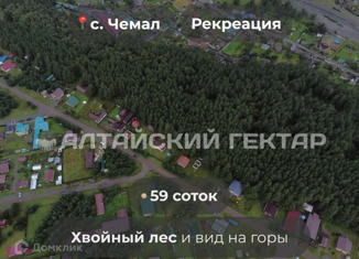Земельный участок на продажу, 58.66 сот., село Чемал, Советская улица
