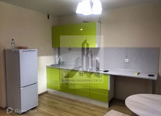 Сдача в аренду квартиры студии, 27 м2, Мурино, улица Шувалова, 14, ЖК Созвездие