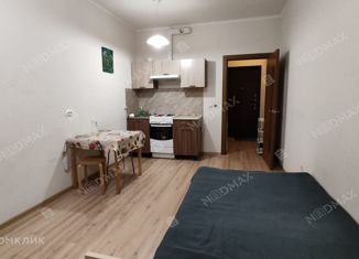 Аренда квартиры студии, 24 м2, Мурино, ЖК Мой Город, бульвар Менделеева, 3