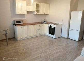 Продам квартиру студию, 28.4 м2, село Осиново, улица Гайсина, 2В