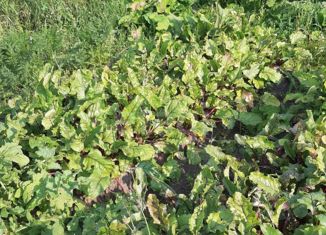 Продается дом, 57 м2, Куса, Новая улица