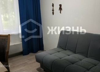 Продам 2-комнатную квартиру, 43 м2, Екатеринбург, Хрустальная улица, 33, Хрустальная улица