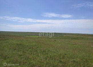 Продаю земельный участок, 914.9 сот., Чистенское сельское поселение