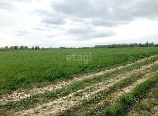 Земельный участок на продажу, 176.7 сот., село Вятское, Советская улица