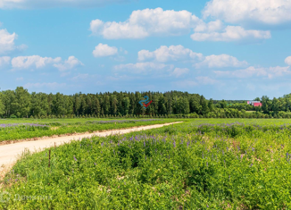 Земельный участок на продажу, 9 сот., садовое товарищество Истомино, Центральная улица