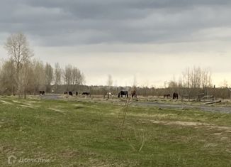 Продаю участок, 6.03 сот., деревня Коняшина