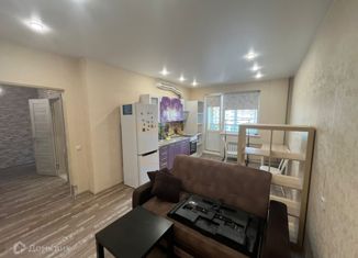 Продается квартира студия, 43 м2, Новосибирск, улица Костычева, 74/1, улица Костычева