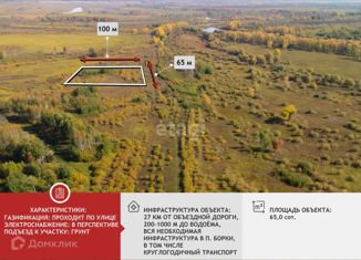 Участок на продажу, 65 сот., село Борки