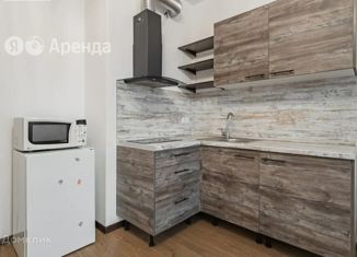 Аренда квартиры студии, 24.6 м2, Санкт-Петербург, Яхтенная улица, 28, ЖК Мореокеан