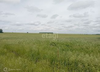 Продается участок, 11.6 сот., село Волково, Школьный переулок