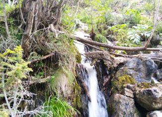 Продам участок, 30 сот., село Улаган, улица А.В. Санаа