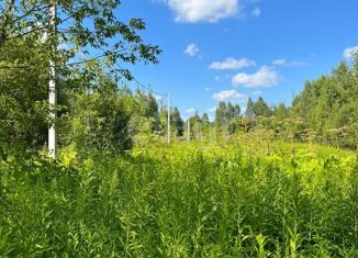 Продаю участок, 25 сот., сельское поселение Бурнашево