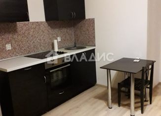 Продаю квартиру студию, 24.1 м2, Мурино, улица Шувалова, 4к1, ЖК Мой Город