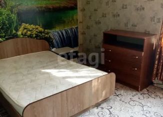 1-ком. квартира в аренду, 30 м2, Воронеж, Семилукская улица, 14, Советский район