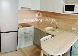 Продажа 1-ком. квартиры, 41 м2, Санкт-Петербург, Заречная улица, 33