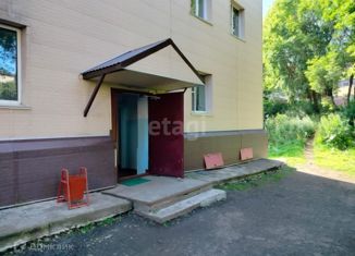 Продам 2-ком. квартиру, 44.5 м2, Петропавловск-Камчатский, улица Капитана Беляева, 2