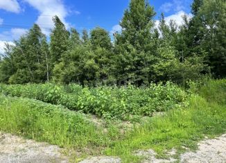 Продаю участок, 12.3 сот., село Матвеевка