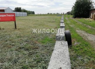 Продаю земельный участок, 10 сот., село Верх-Ирмень, улица Максима Горького, 22