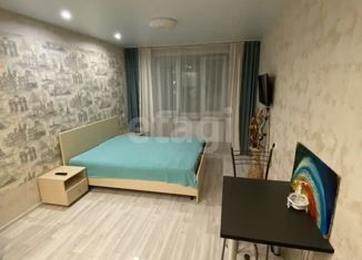 Продам квартиру студию, 22.9 м2, Киров, Заводская улица, 4, Первомайский район