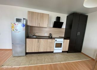 Продам квартиру студию, 31 м2, Санкт-Петербург, Заречная улица, 11к2, метро Парнас