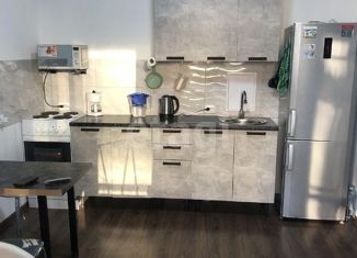 Продается однокомнатная квартира, 32 м2, Санкт-Петербург, Арцеуловская аллея, 15, метро Комендантский проспект