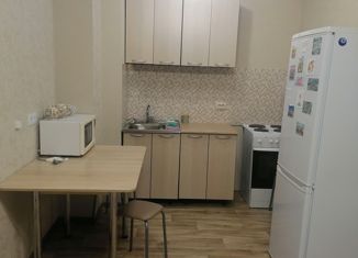 Продается квартира студия, 29 м2, Волгоград, улица Гаря Хохолова, 13, Кировский район